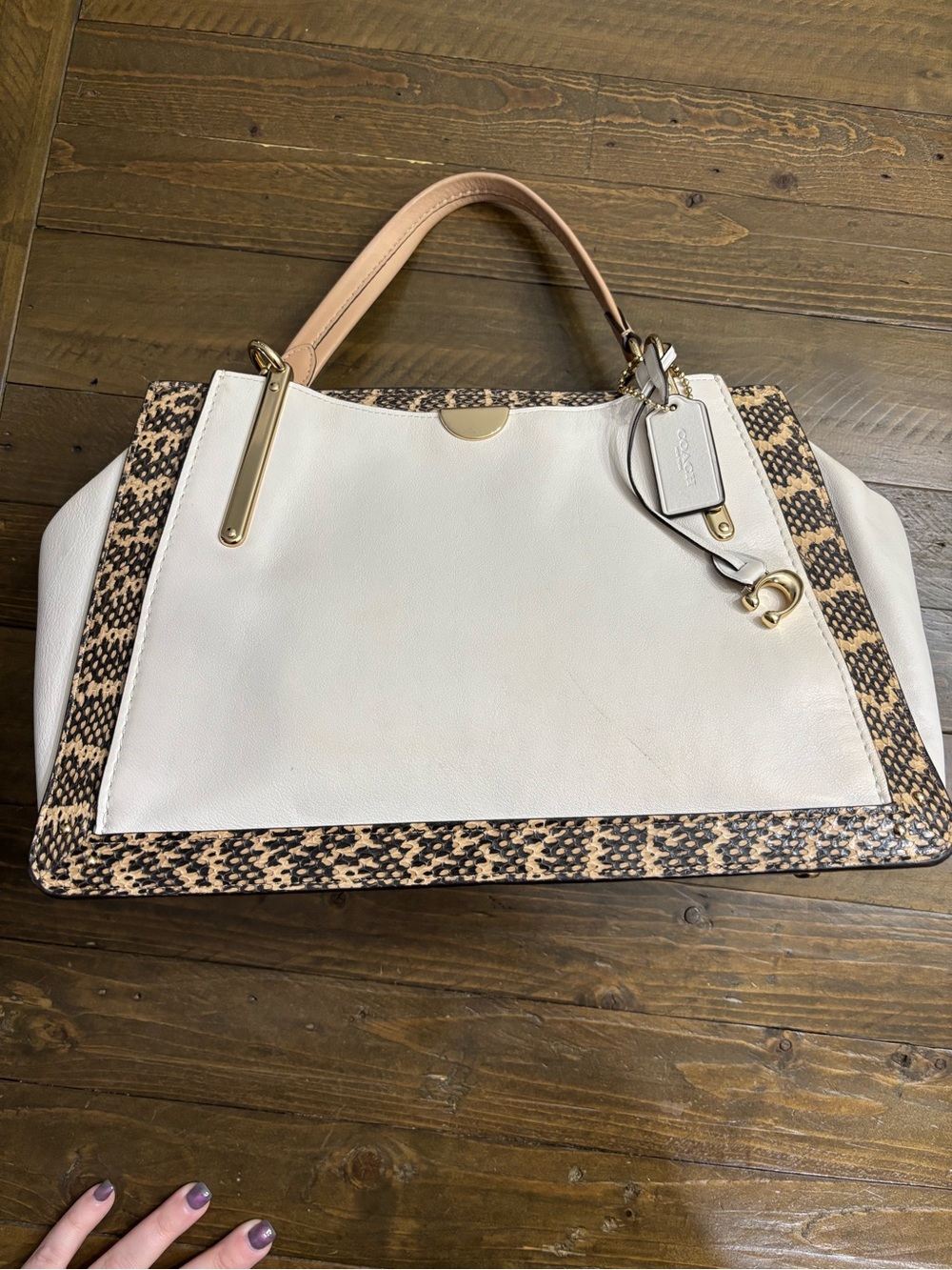 Coach Dreamer 36 in Colorblock with Snake Detail - Picture 6 of 16